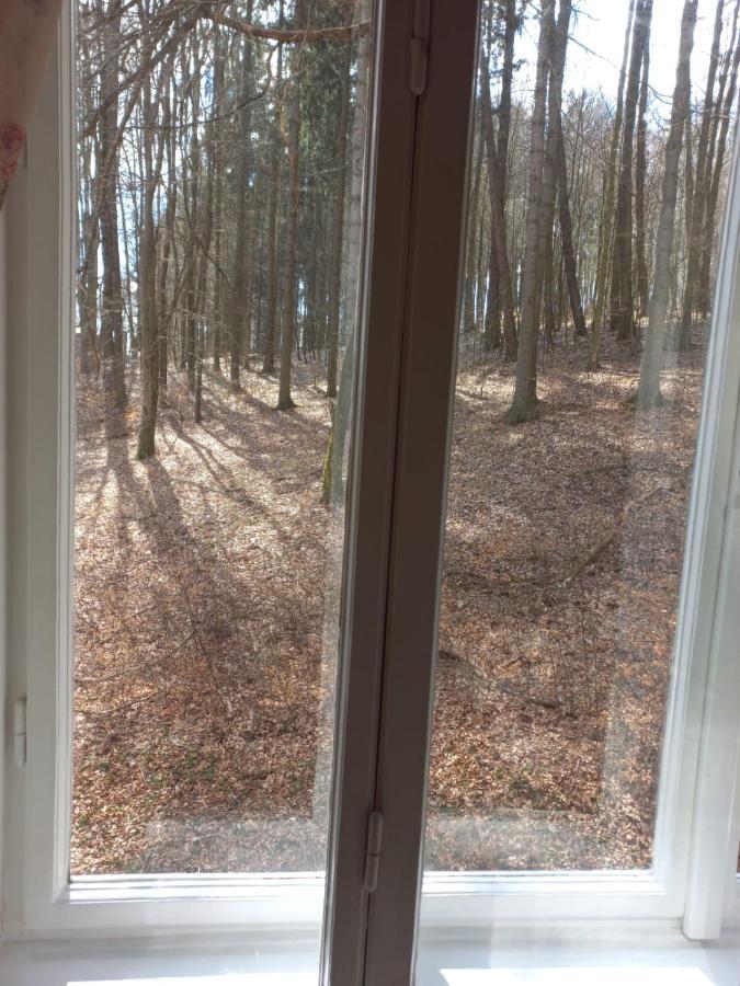 Dream Appartment For A Nice Holiday With A Bedroom And Living Room! Маріанські Лазні Екстер'єр фото